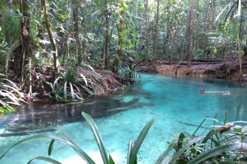 Kali Biru destinasi wisata sungai Raja Ampat yang memesona