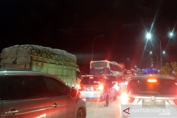 Buah pisang Lampung mengalir ke Jawa