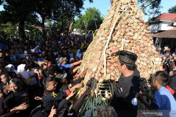 Tradisi Lebaran Ketupat