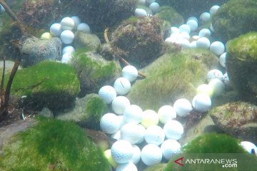 Sampah bola golf menumpuk di dasar Samudra Pasifik