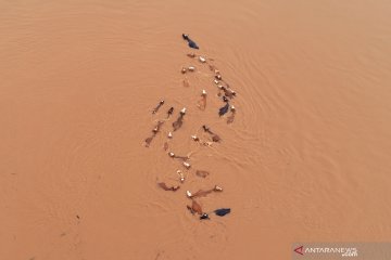 Dua mobil tercebur sungai saat jembatan di  China selatan putus