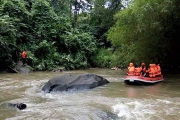 Pencarian korban kecelakaan di Batang Agam dilanjutkan hingga Taram