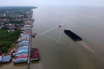 Angkutan tongkang batu bara di Jambi