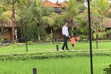 Presiden Jokowi momong cucu di sela kunjungan kerja di Bali