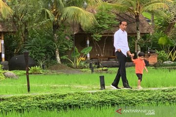 Jokowi momong Jan Ethes di Bali