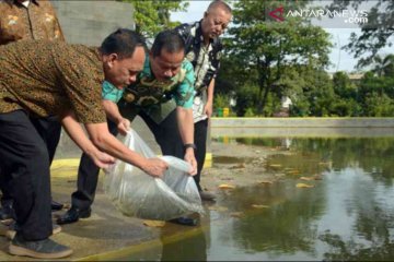 Konsumsi ikan warga Kota Bekasi 22 kuintal sehari