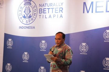 KKP harapkan usaha budidaya terapkan prinsip berkelanjutan