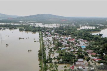 Banjir rendam areal persawahan di Konawe