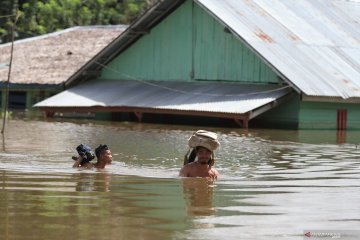 Distanak Sultra taksir kerugian akibat banjir Rp168,5 miliar