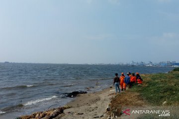 Pencarian remaja yang tenggelam di Ancol terkendala luasnya medan