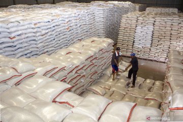Pemerintah perlu tuntaskan permasalahan penumpukan stok beras