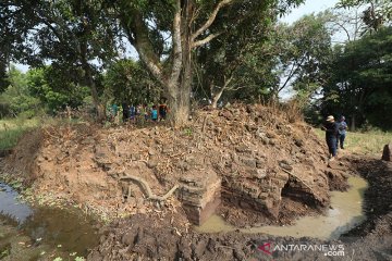 Warga Kabupaten Kediri temukan struktur candi dan arca