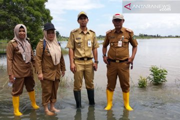 Petani Tanah Bumbu terancam gagal panen akibat banjir