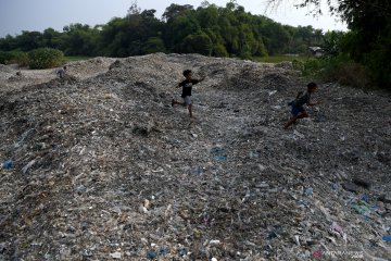 Ecoton sebut udang di tambak Sidoarjo terindikasi mikroplastik