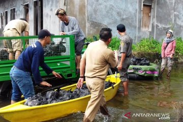 Relawan masih bantu korban banjir Samarinda