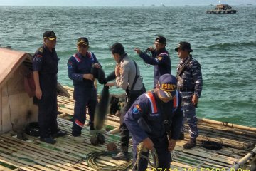 KKP tertibkan alat tangkap benih lobster