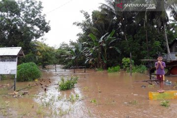 Walhi : Banjir Morowali Utara disebabkan masifnya perambahan hutan