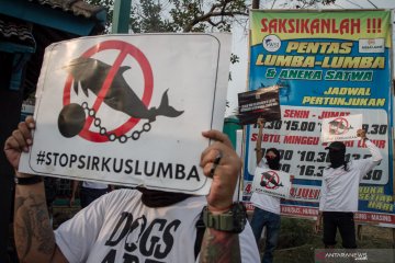 Unjuk rasa tolak pertunjukkan sirkus Lumba-Lumba