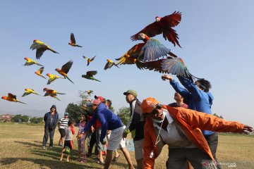 Komunitas penggemar burung