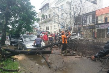 Cuaca buruk di Padang sebabkan 10 pohon tumbang