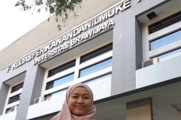 I-Lenuk aplikasi pendata penyu karya mahasiswa Universitas Brawijaya