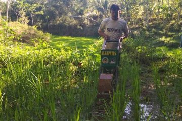 "Algapatis", alat mengatasi gulma ciptaan tim mahasiswa Untidar