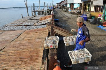 Penjualan ikan asin di Jambi