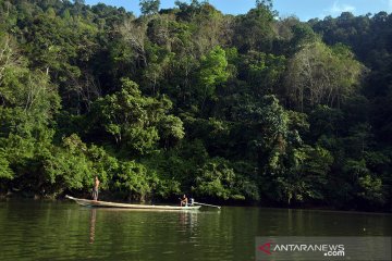 Jalur kecil yang wujudkan mimpi puluhan tahun warga Rimbang Baling