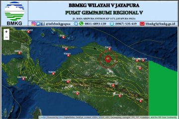Kepala BPBD Papua: belum ada laporan dampak gempa di tiga kabupaten