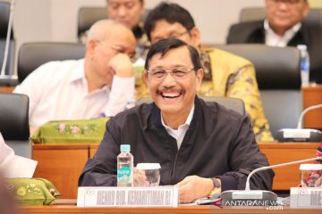 Luhut: Angkutan umum listrik solusi tangani dampak polusi