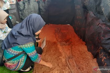 Kerangka Manusia Oluhuta menarik minat pengunjung Pameran Arkeologi