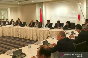 Luhut yakinkan investor Jepang investasi produk bernilai tambah