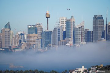 Dewan Kota Sydney kaji penggunaan Roundup dalam penanganan rumput liar