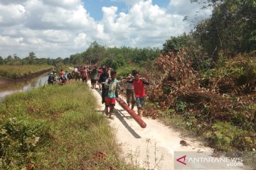 Masyarakat Selakau gotong-royong angkut tiang listrik demi penerangan