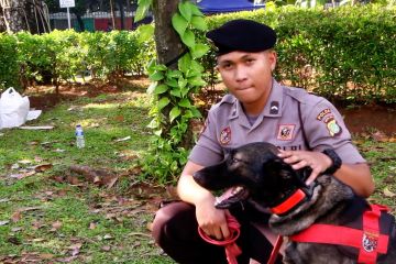 Anjing K9 Polda Metro Jaya amankan sidang MK