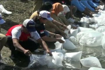 1,2 juta benih ikan nilam & tawes ditebar di Kulon Progo