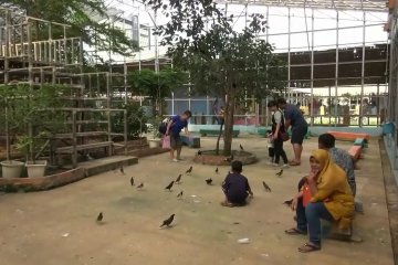 Berwisata aneka satwa di taman burung Palembang
