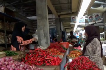 Harga cabai mulai merangkak naik