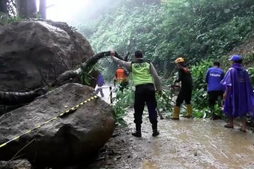 Jalur Lumajang-Malang lumpuh akibat longsor