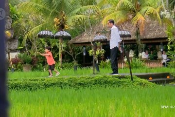 Makan siang di Ubud, Presiden dan cucunya main di tepi sawah