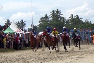 Tradisi pacu kuda alek nagari Payakumbuh