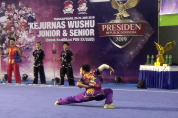Wushu targetkan 2 emas pada Sea Games Manila