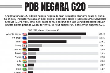 PDB negara G20