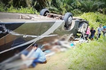 Bus rute Pontianak-Sampit terbalik di Lamandau tiga tewas