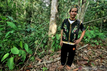 Hutan dan Masyarakat Adat Seberuang