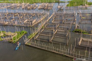 Pengamat ingatkan pentingnya pengembangan sektor maritim