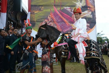 Peserta Parade Kuda 2019 diwajibkan peragakan tradisi Sumba