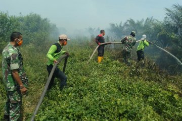 12 hektare kebun sawit di Nagan Raya Aceh terbakar