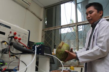 Energi listrik dari sabut kelapa
