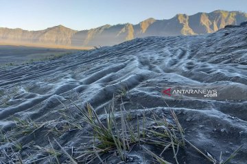 Embun upas di Gunung Bromo tingkatkan kunjungan wisatawan